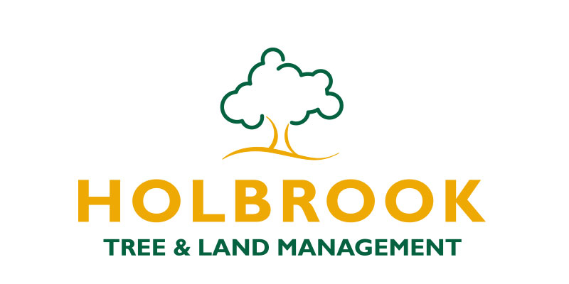 holbrook tree and land management 